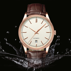 Source Factory(MOQ: 50 PCS)— Business Stylish Original Movement Sapphire Crystal Luminous Water-Proof Automatic Watches for Tissotes Couple Watch