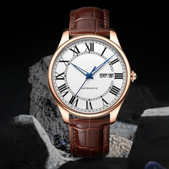 Source Factory(MOQ: 50 PCS)— Luxury Business Automatic Mechanical Watch Men Waterproof Sport Men Watches Tourbillon Hollow Out Watch for Men
