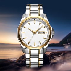 Source Factory（MOQ: 50 PCS）— Chronograph Mechanical Watch Automatic GMT Function Shock-Resistant
