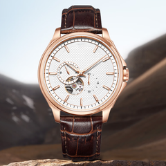 Source Factory（MOQ: 50 PCS）— Skeleton Mechanical Watch Automatic Exhibition Case Back Waterproof