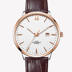 Source Factory—Quartz Mechanical Timelessness | Luxury Vintage Automatic for All Tastes - Mechanical Watch Source Factory