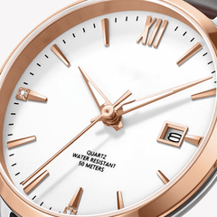 Source Factory—Quartz Mechanical Timelessness | Luxury Vintage Automatic for All Tastes - Mechanical Watch Source Factory